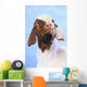 Goat;British columbia canada Wall Mural