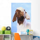 Goat;British columbia canada Wall Mural