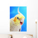 Cockatiel ;Vancouver canada Wall Mural