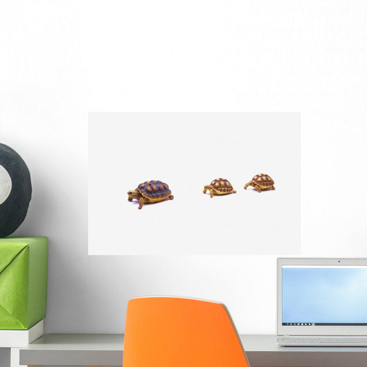 Two Young Red-legged Turtles Wall Decal