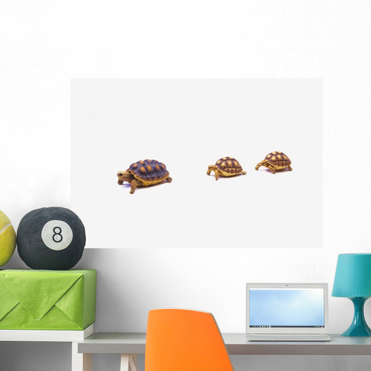 Two Young Red-legged Turtles Wall Decal