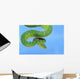 Emerald tree boa on a blue background;British columbia canada Wall Mural