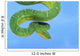 Emerald tree boa on a blue background;British columbia canada Wall Mural