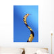 Forest cobra against a blue background;British columbia canada Wall Mural