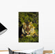 Charging siberian tiger ;Africa Wall Mural