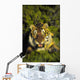 Charging siberian tiger ;Africa Wall Mural