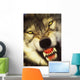 Growling wolf in the rocky mountains;United states of america Wall Mural