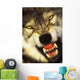Growling wolf in the rocky mountains;United states of america Wall Mural