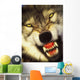 Growling wolf in the rocky mountains;United states of america Wall Mural