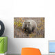 Grizzly Amongst Fall Foliage In Denali National Park & Preserve Wall Mural