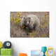 Grizzly Amongst Fall Foliage In Denali National Park & Preserve Wall Mural