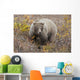 Grizzly Amongst Fall Foliage In Denali National Park & Preserve Wall Mural