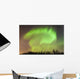 Northern Lights above Forest Wall Decal
