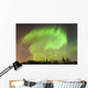 Northern Lights above Forest Wall Decal