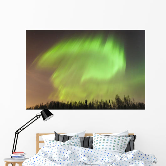 Northern Lights above Forest Wall Decal