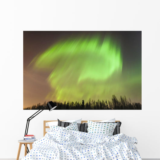 Northern Lights above Forest Wall Decal