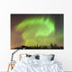 Northern Lights above Forest Wall Decal