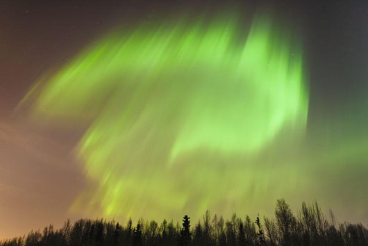 Northern Lights above Forest Wall Decal