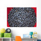 A bowl of blueberries;Alaska united states of america Wall Mural