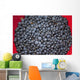 A bowl of blueberries;Alaska united states of america Wall Mural