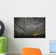 Star Trails and Northern Lights above Denali and the Alaska Range Wall Mural
