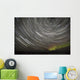 Star Trails and Northern Lights above Denali and the Alaska Range Wall Mural