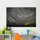 Star Trails and Northern Lights above Denali and the Alaska Range Wall Mural