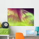 A Green And Purple Northern Lights Corona Wall Mural