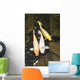 Three japanese koi fish in a pond;Montreal quebec canada Wall Mural