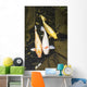 Three japanese koi fish in a pond;Montreal quebec canada Wall Mural
