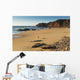 Portugal, Algarve, Distant View Of Surfer Walking On Playa Do Amado Wall Mural