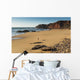 Portugal, Algarve, Distant View Of Surfer Walking On Playa Do Amado Wall Mural