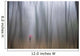 Woman Walking with Red Wall Decal