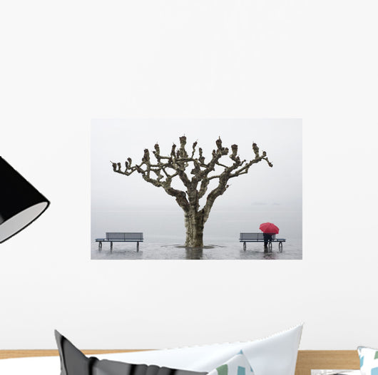 A tree and a person with a red umbrella Wall Mural