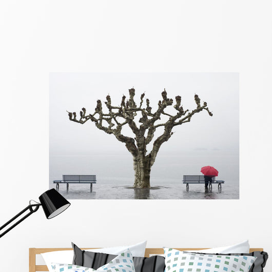 A tree and a person with a red umbrella Wall Mural