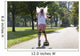 Young Girl Skateboarding Wall Decal