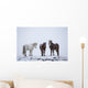 Icelandic Horses Standing In A Snowstorm Wall Mural