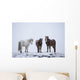 Icelandic Horses Standing In A Snowstorm Wall Mural