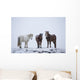 Icelandic Horses Standing In A Snowstorm Wall Mural