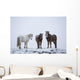 Icelandic Horses Standing In A Snowstorm Wall Mural