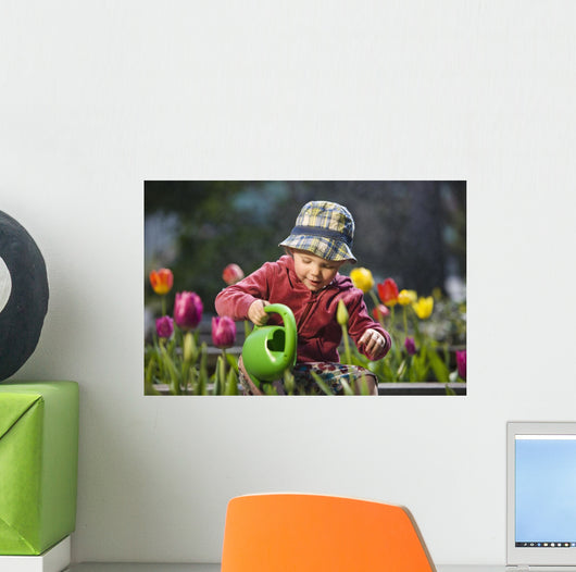 Toddler Girl Watering Tulips, Anchorage, Alaska, Usa Wall Mural