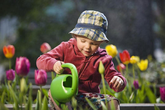 Toddler Girl Watering Tulips, Anchorage, Alaska, Usa Wall Mural