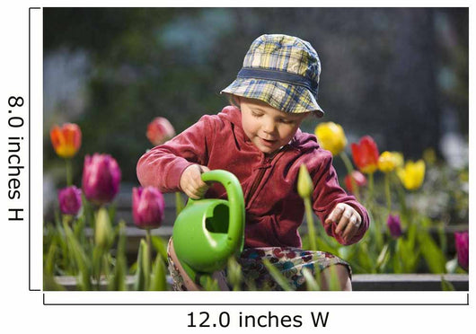 Toddler Girl Watering Tulips, Anchorage, Alaska, Usa Wall Mural