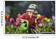 Toddler Girl Watering Tulips, Anchorage, Alaska, Usa Wall Mural