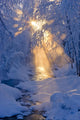 Small Stream Wall Mural