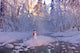 Snowman Standing On A Small Island Wall Mural