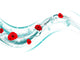 poppy floral Wall Decal
