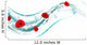 poppy floral Wall Decal