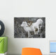 Dall Ram And Ewe Wall Mural