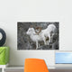 Dall Ram And Ewe Wall Mural